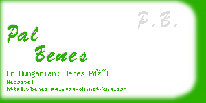 pal benes business card